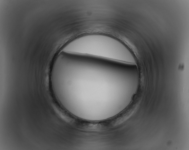 X0000102460493200808080948
