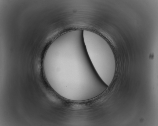 X0000102460494200808080948