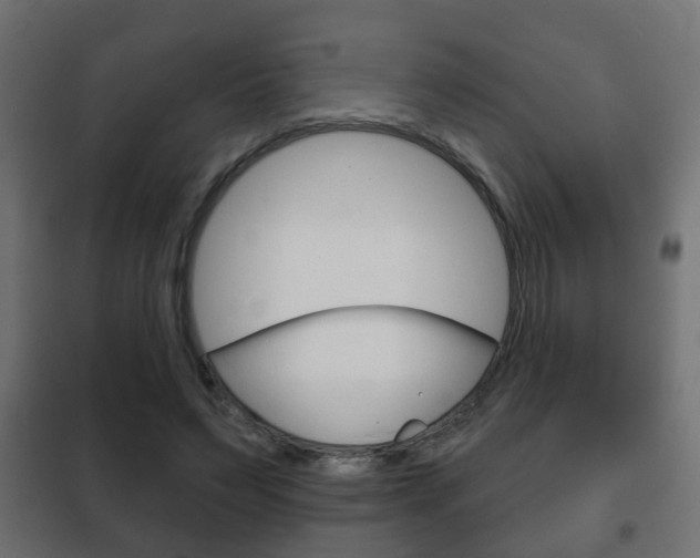 X0000102460495200808080948