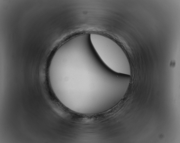 X0000102460496200808080948