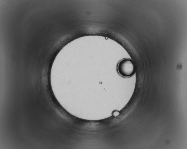 X0000102460497200808080948