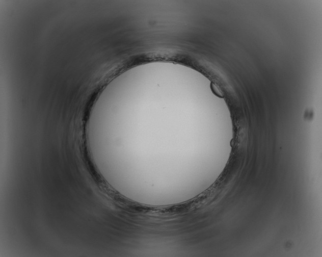 X0000102460498200808080948