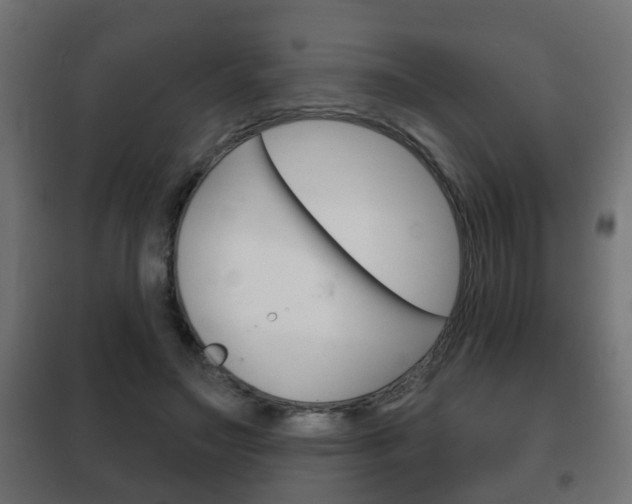 X0000102460499200808080948