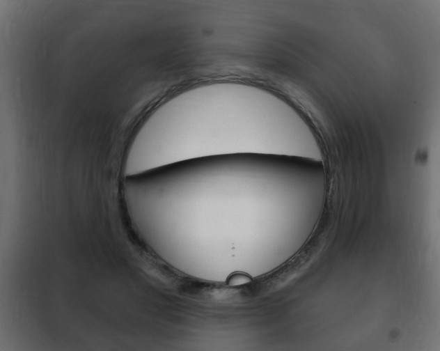 X0000102460501200808080948