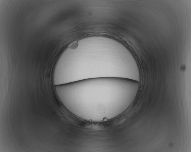 X0000102460503200808080948