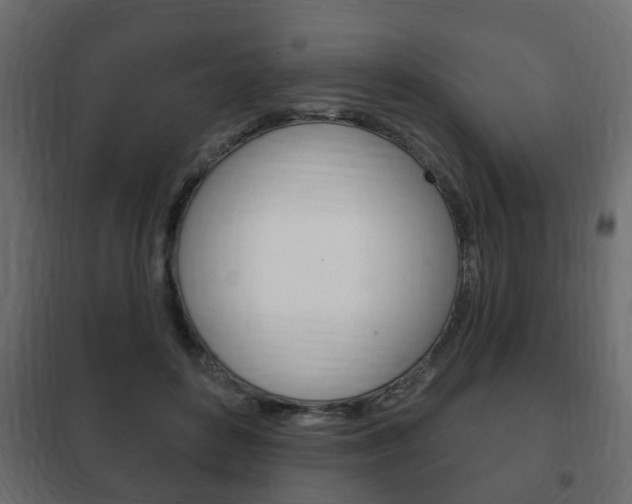 X0000102460504200808080948
