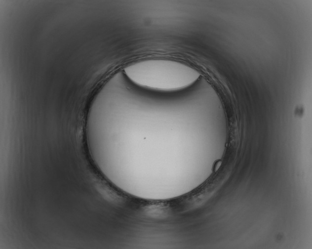 X0000102460505200808080948