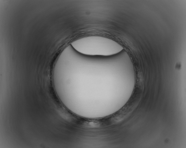X0000102460506200808080948