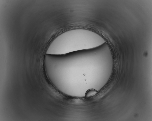 X0000102460509200808080948