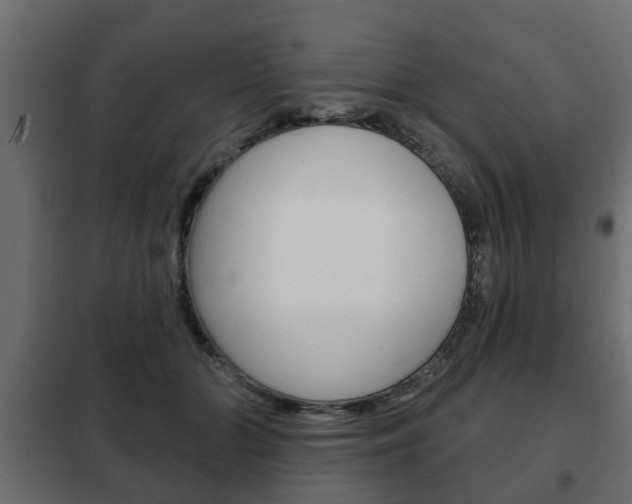 X0000102460510200808080948