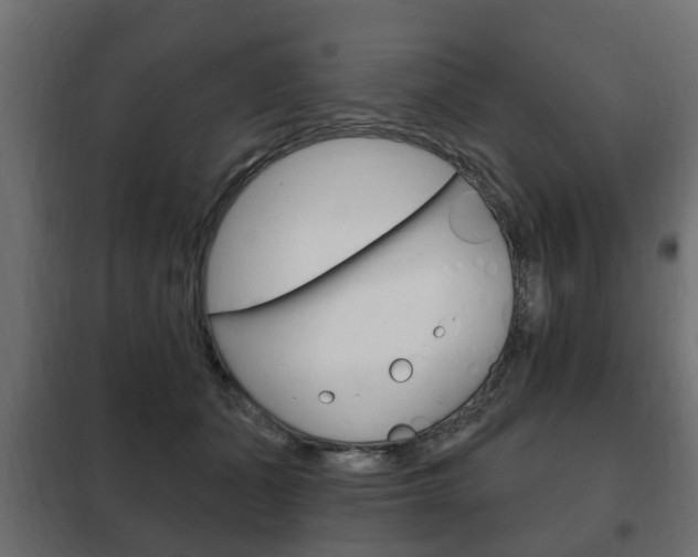 X0000102460511200808080948
