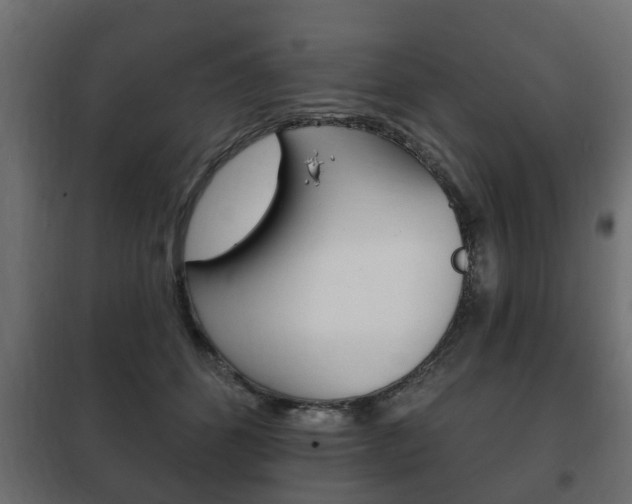 X0000102460512200808080948
