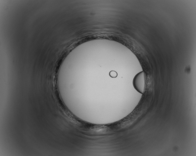 X0000102460514200808080948