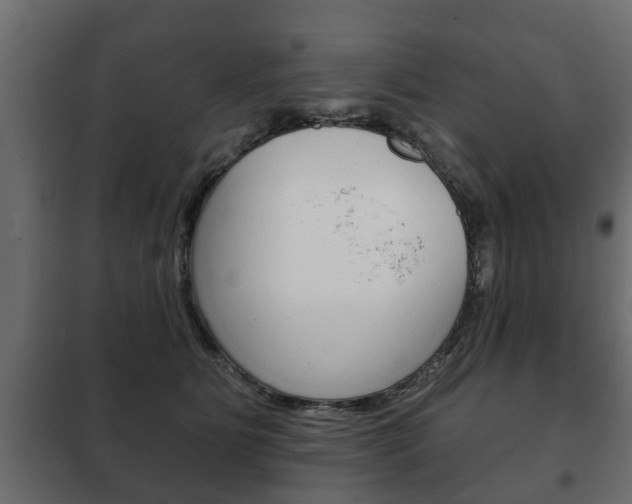X0000102460515200808080948