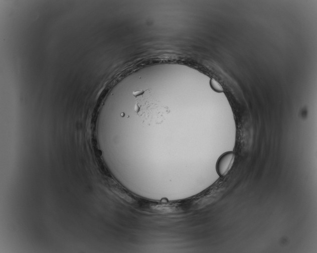 X0000102460516200808080948