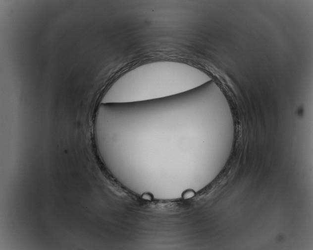 X0000102460517200808080948