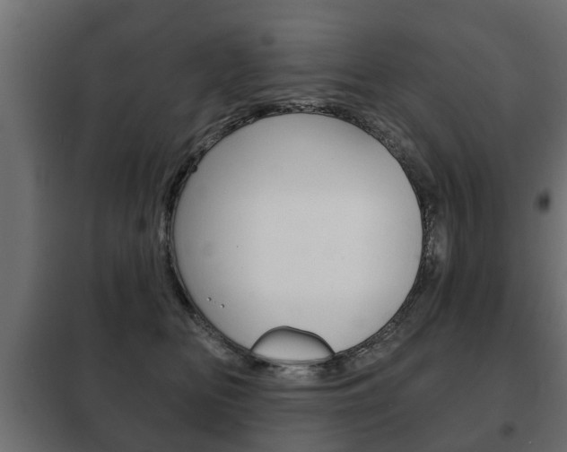X0000102460518200808080948