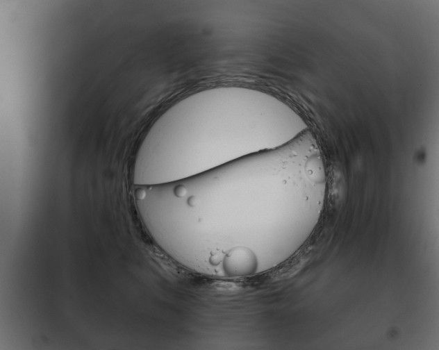 X0000102460519200808080948