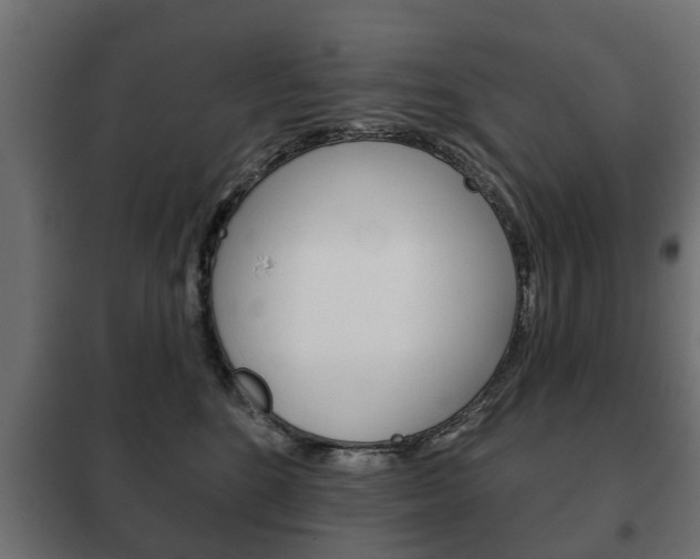 X0000102460520200808080948