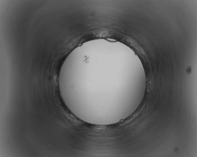 X0000102460521200808080948