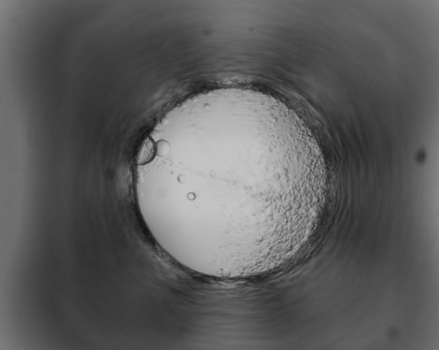 X0000102460523200808080947