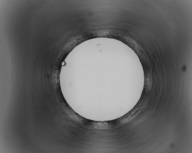 X0000102460525200808080947
