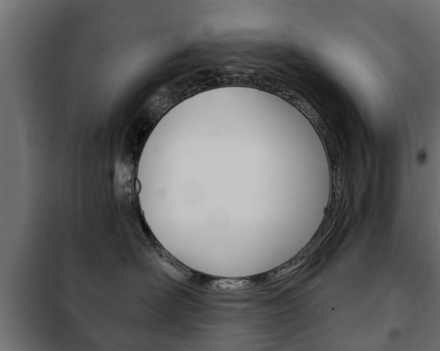 X0000102460526200808080947