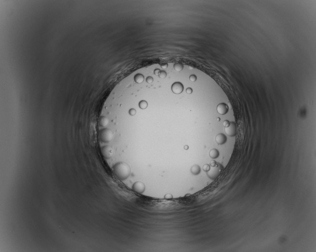 X0000102460527200808080947