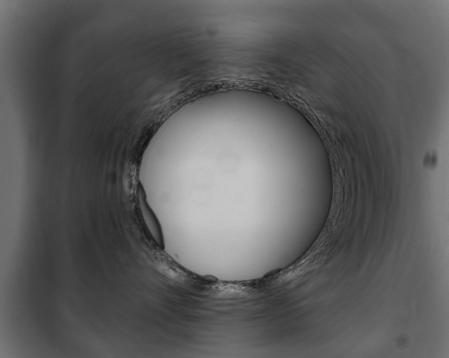X0000102460528200808080947