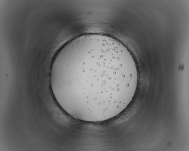 X0000102460529200808080947