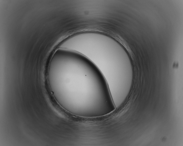 X0000102460530200808080947