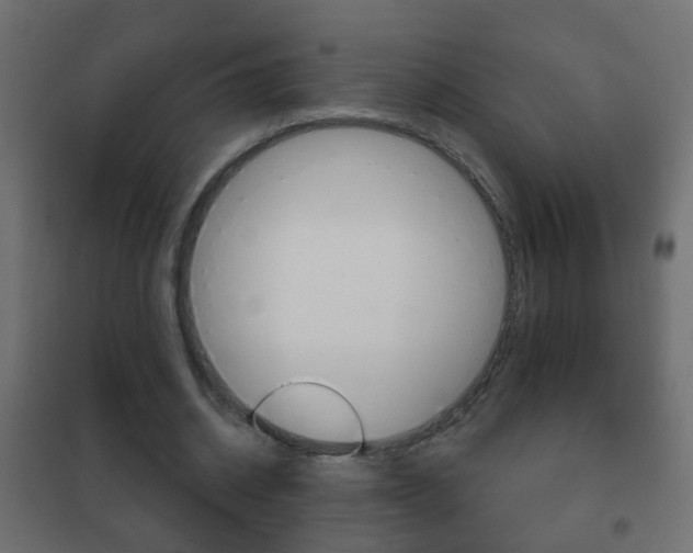 X0000102460534200808080947