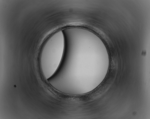 X0000102460535200808080947
