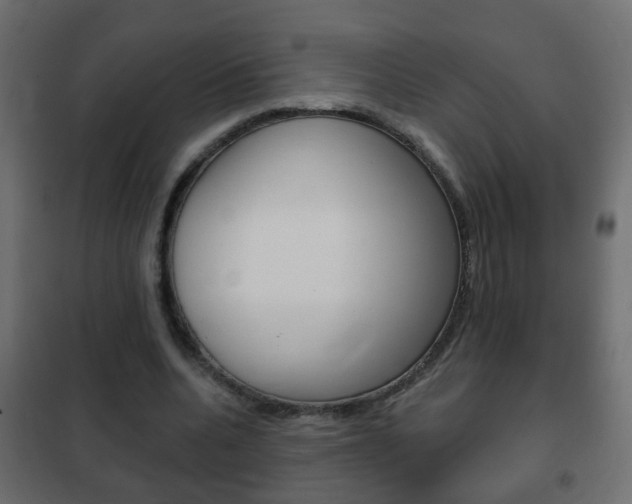 X0000102460536200808080947