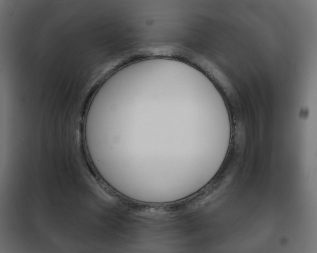 X0000102460537200808080947
