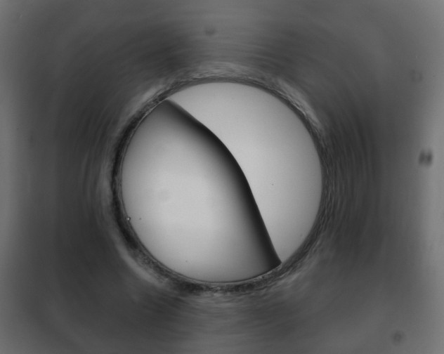 X0000102460538200808080947