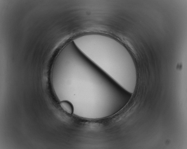 X0000102460539200808080947
