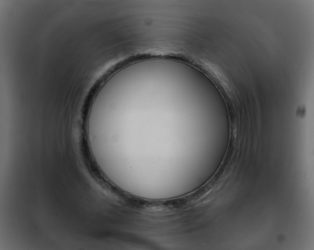 X0000102460540200808080947