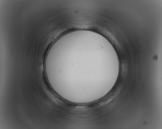 X0000102460541200808080947