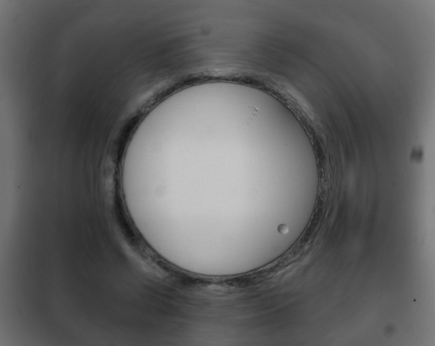 X0000102460542200808080947