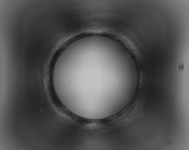 X0000102460544200808080947