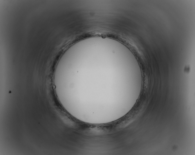 X0000102460545200808080947