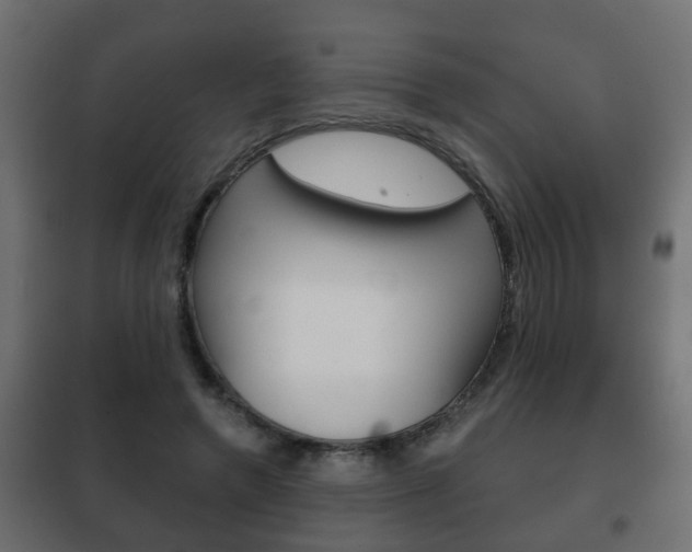 X0000102460546200808080947