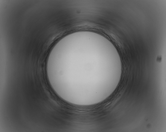 X0000102460547200808080947