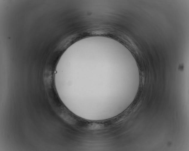 X0000102460549200808080947