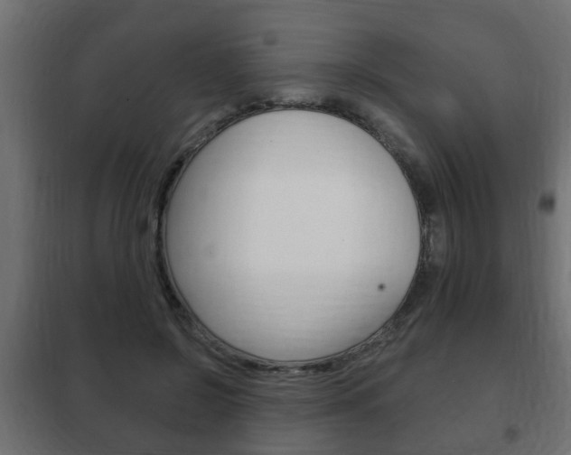 X0000102460550200808080947