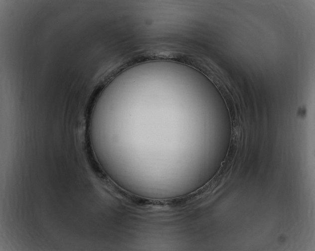 X0000102460552200808080947