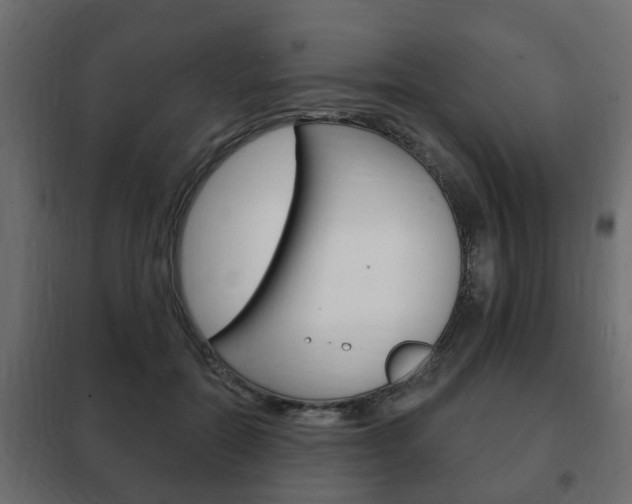 X0000102460554200808080947