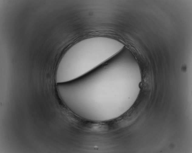 X0000102460555200808080947
