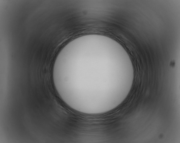 X0000102460556200808080947